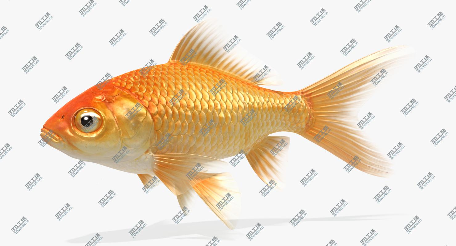 images/goods_img/20210115/Underwater Scene/3.jpg